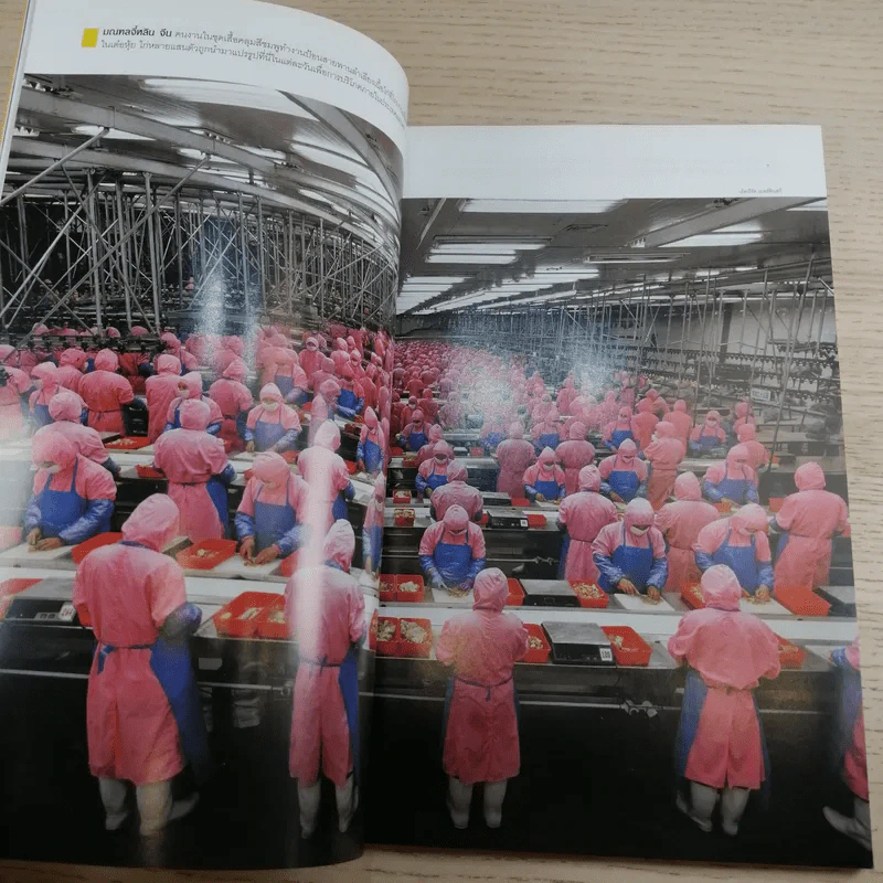 National Geographic ก.ย.2549 พลิกแผ่นดิน ปลุกผีเสาหลักอุตสาหกรรม แมนจูเรีย รูปที่ 10