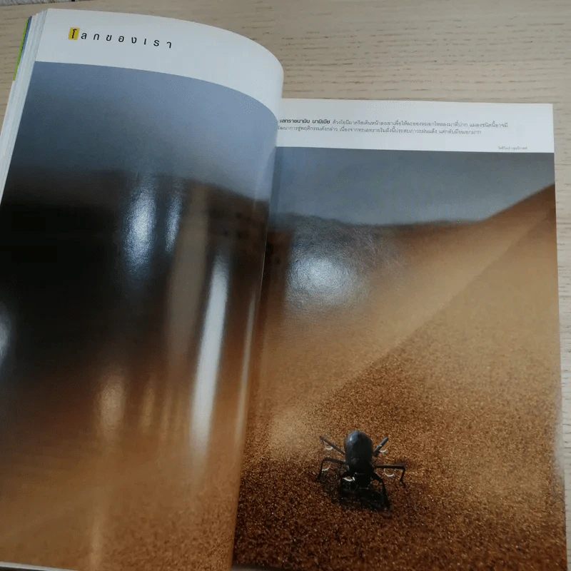National Geographic ส.ค.2549 ขบวนเรือพระราชพิธีวัฒนธรรมล้ำค่า รูปที่ 9