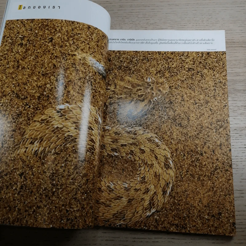 National Geographic ก.ค.2549 ซากใต้โรม รูปที่ 9