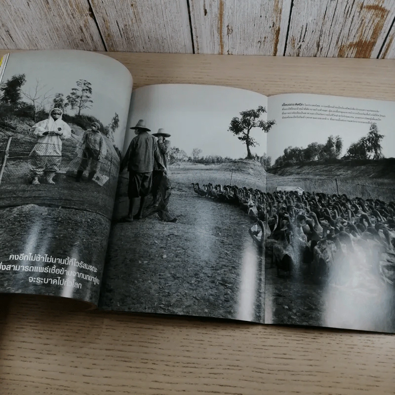 National Geographic ต.ค.2548 เฮอริเคน มหาวาตภัยถล่มโลก รูปที่ 14