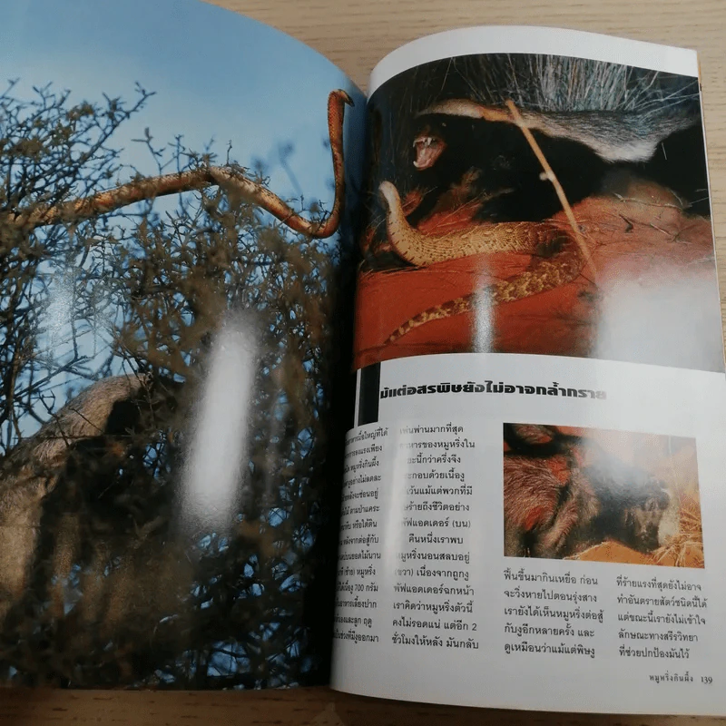 National Geographic ก.ย.2547 มหันตภัยแห่งอนาคต รูปที่ 14