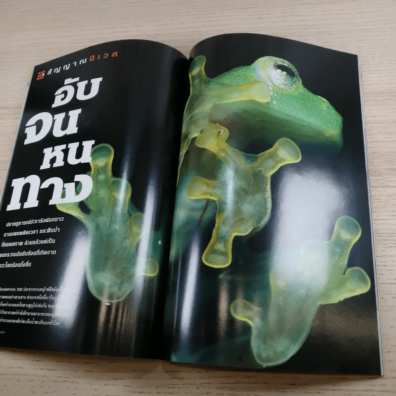 National Geographic ก.ย.2547 มหันตภัยแห่งอนาคต รูปที่ 13