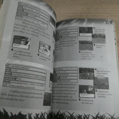 คู่มือเฉลยเกม Play Station 2 Harvest Moon 3 รูปที่ 11