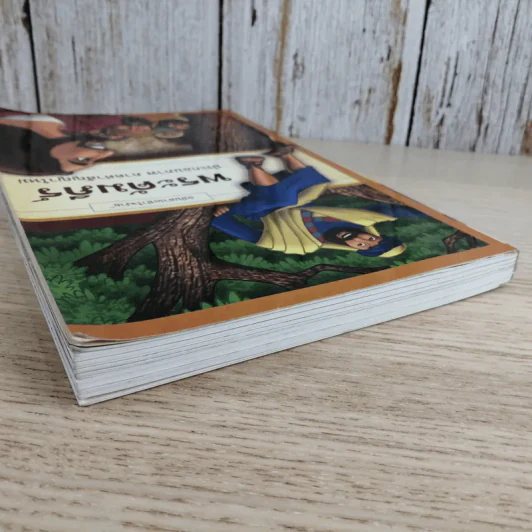 พระคัมภีร์ ประกอบภาพ ภาคคำสัญญาใหม่ ฉบับอ่านเข้าใจง่าย รูปที่ 6