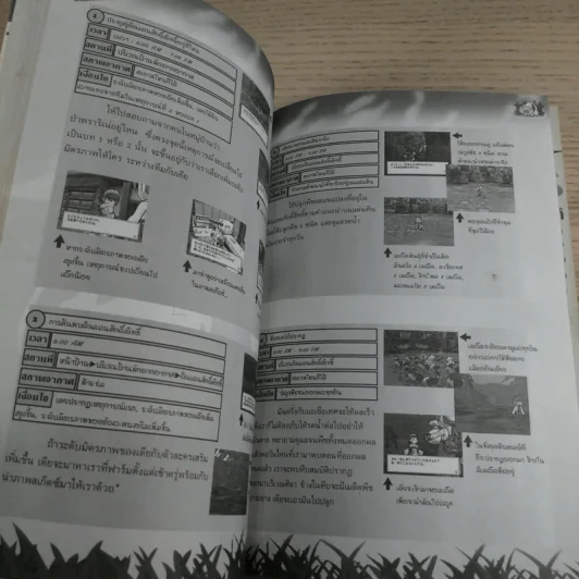 คู่มือเฉลยเกม Play Station 2 Harvest Moon 3 รูปที่ 11
