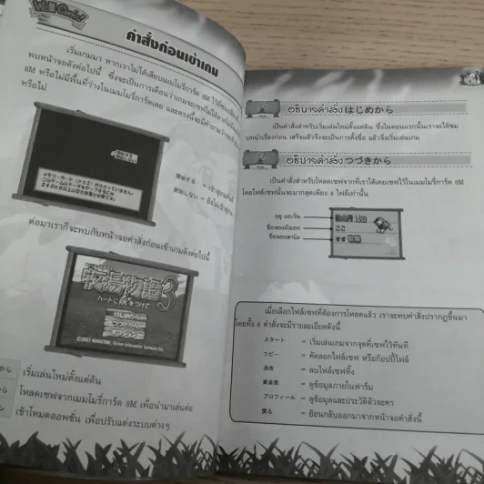 คู่มือเฉลยเกม Play Station 2 Harvest Moon 3 รูปที่ 9