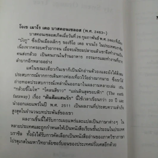 ต้นส้มแสนรัก My Sweet Orange Tree รูปที่ 8