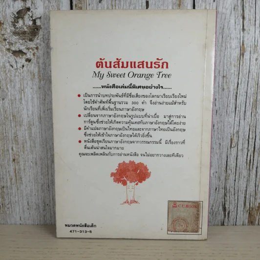 ต้นส้มแสนรัก My Sweet Orange Tree รูปที่ 2