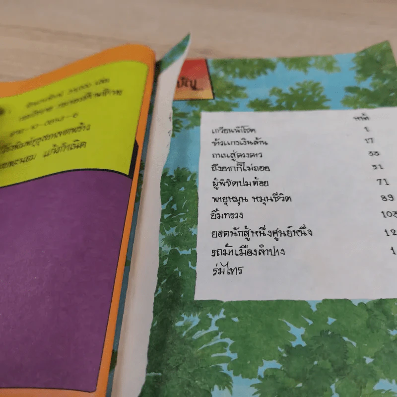 การ์ตูนสร้างสรรค์ ชุด ชีวิตต้องสู้ เล่ม 2 รูปที่ 9