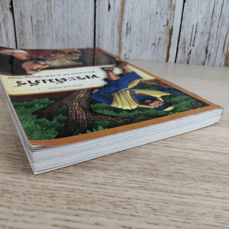 พระคัมภีร์ ประกอบภาพ ภาคคำสัญญาใหม่ ฉบับอ่านเข้าใจง่าย รูปที่ 6