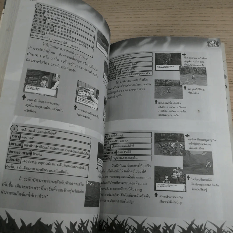คู่มือเฉลยเกม Play Station 2 Harvest Moon 3 รูปที่ 11