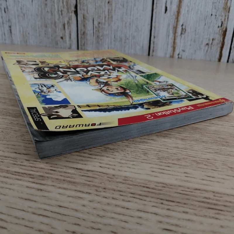 คู่มือเฉลยเกม Play Station 2 Harvest Moon 3 รูปที่ 5
