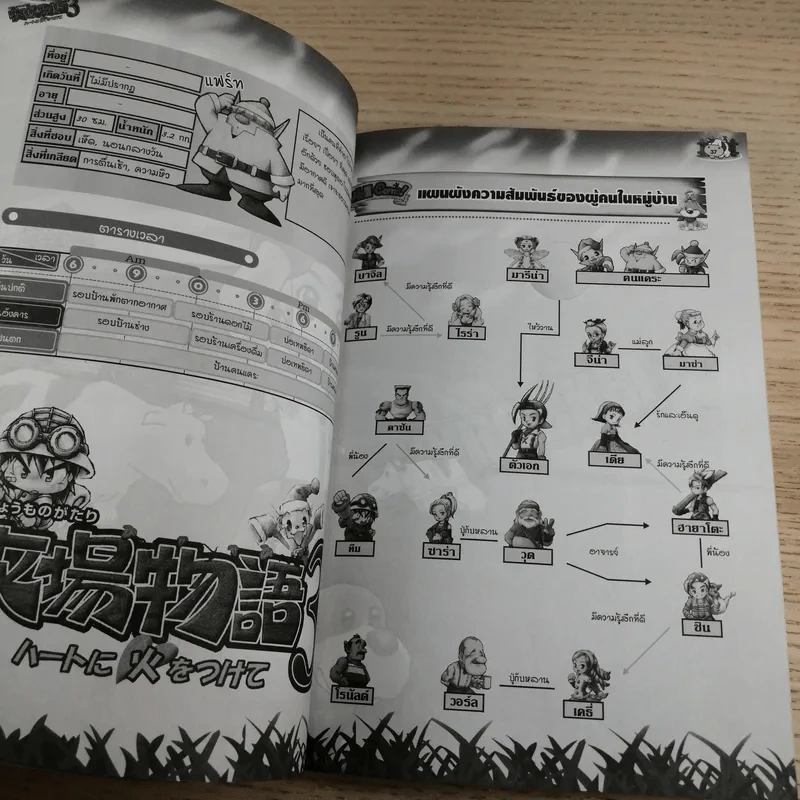 คู่มือเฉลยเกม Play Station 2 Harvest Moon 3 รูปที่ 10