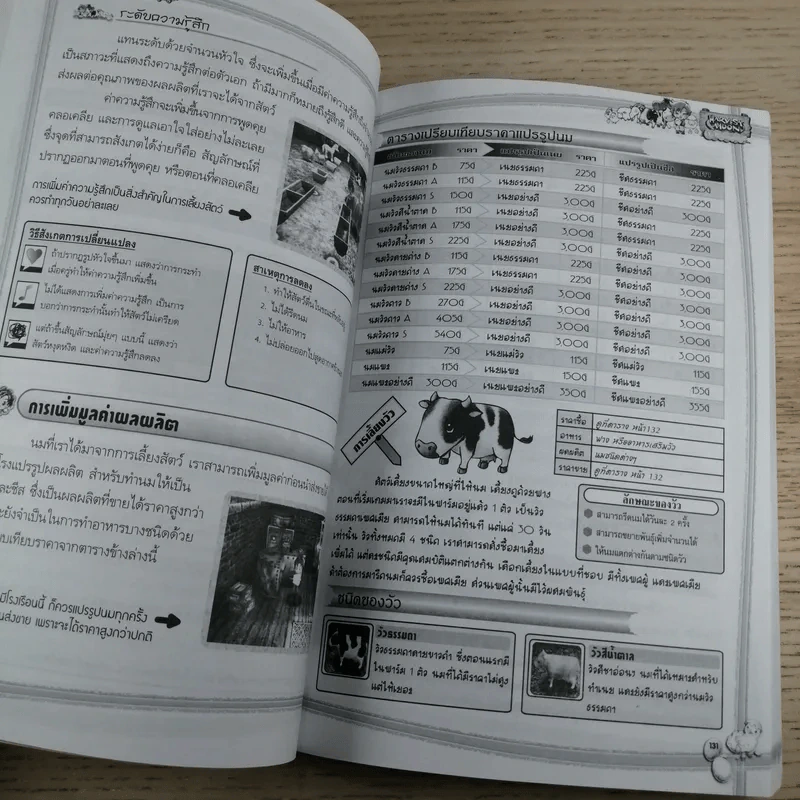 บทสรุปเฉลยเกม PS2 & Wii Harvest Moon Oh! Wonderful Life รูปที่ 10