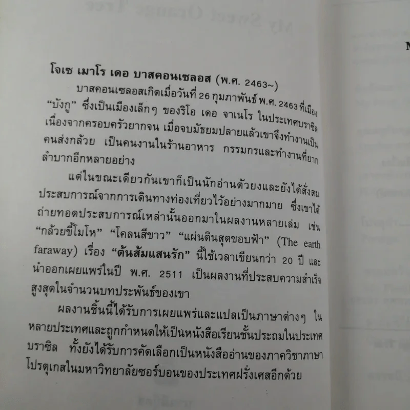 ต้นส้มแสนรัก My Sweet Orange Tree รูปที่ 8