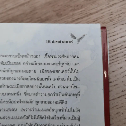 ทรอย ฉบับสวยประหาร - ต่อพงษ์ เศวตามร์ รูปที่ 16