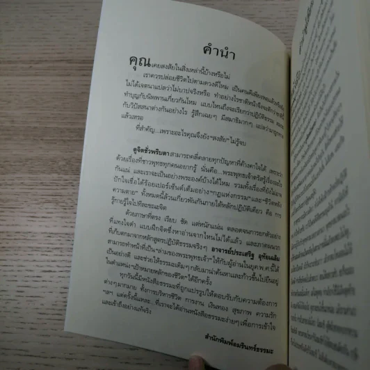 ดูจิตชั่วพริบตา - ปัญญาวโรภิกขุ (ประเสริฐ อุทัยเฉลิม) รูปที่ 10