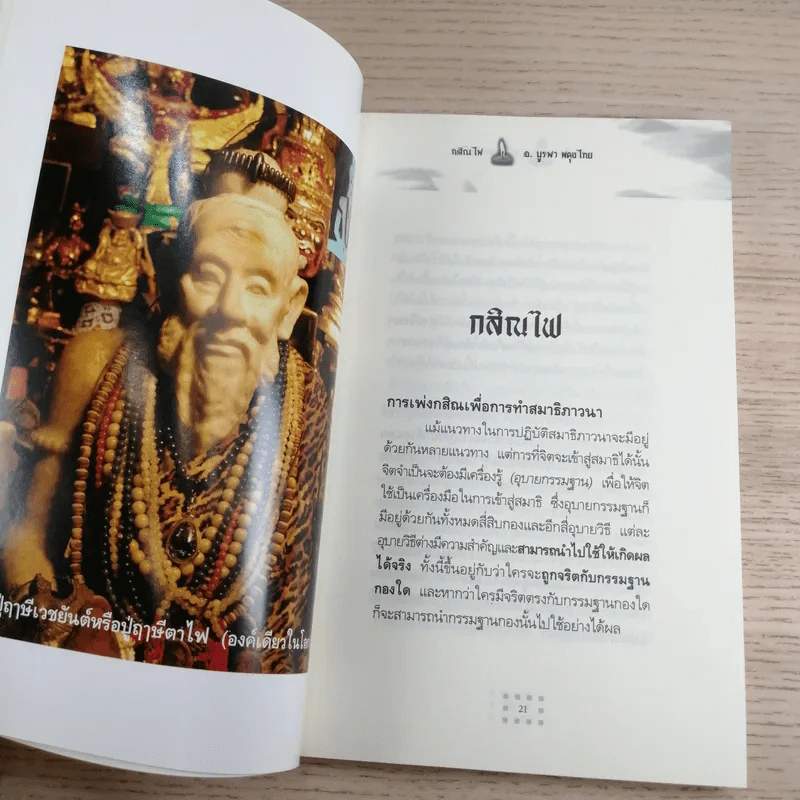 กสิณไฟ (กรรมฐานกองที่มีพลังมากที่สุด) - อ.บูรพา ผดุงไทย รูปที่ 13