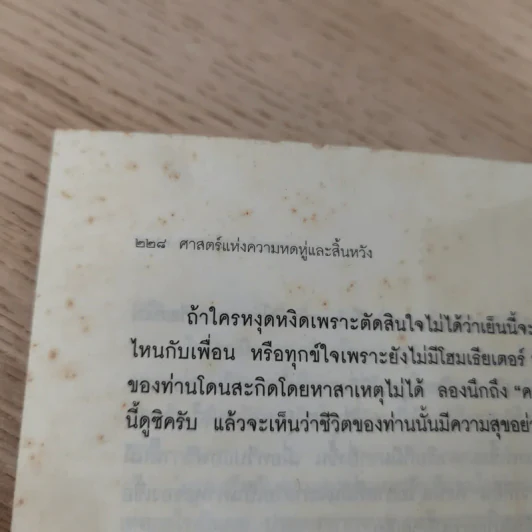 ศาสตร์แห่งความหดหู่และสิ้นหวัง (โลกนี้ไม่มีอะไรฟรี 6) - วรากรณ์ สามโกเศศ รูปที่ 16