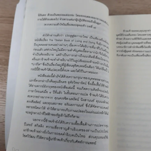 ประตูสู่สภาวะใหม่ จาก The Tibetan Book of Living And Dying - โซเกียล รินโปเช (พระไพศาล วิสาโล แปล) รูปที่ 17