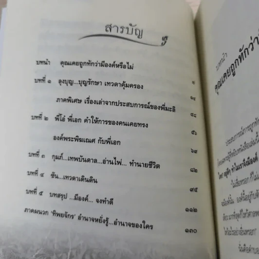 ฅนค้นองค์ - ทิพย์วารี รูปที่ 11