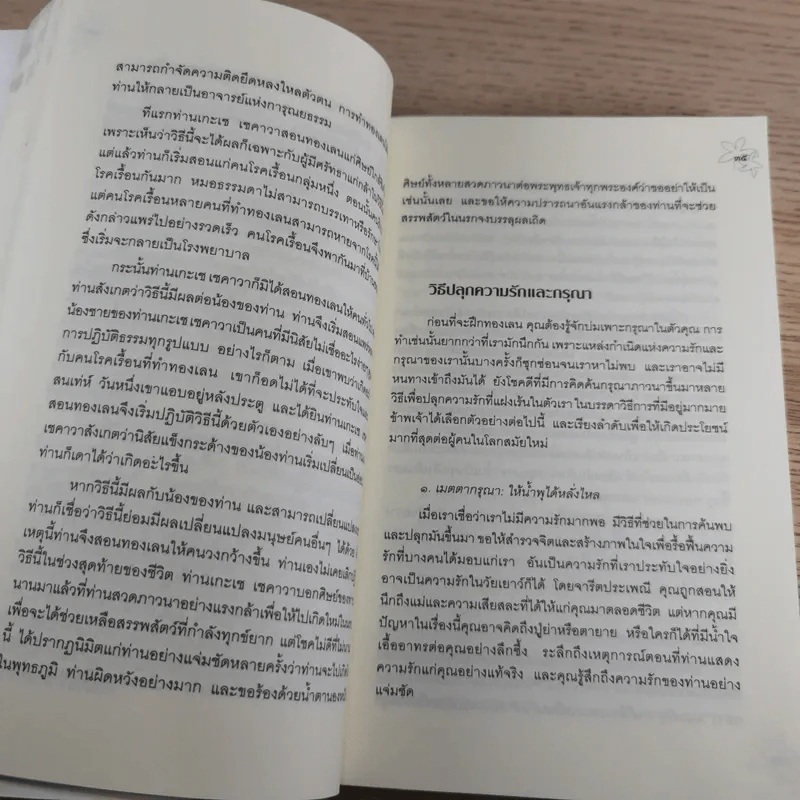 ประตูสู่สภาวะใหม่ จาก The Tibetan Book of Living And Dying - โซเกียล รินโปเช (พระไพศาล วิสาโล แปล) รูปที่ 20