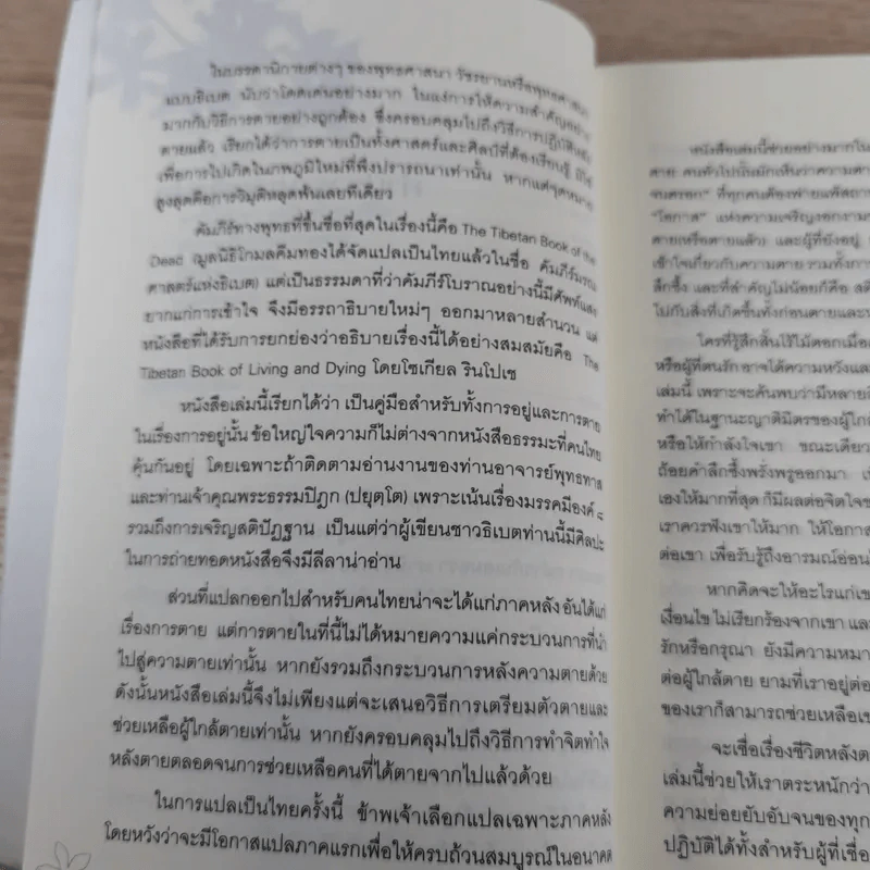 ประตูสู่สภาวะใหม่ จาก The Tibetan Book of Living And Dying - โซเกียล รินโปเช (พระไพศาล วิสาโล แปล) รูปที่ 13