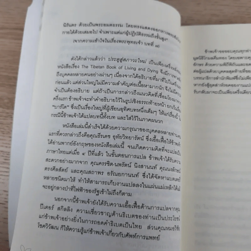 ประตูสู่สภาวะใหม่ จาก The Tibetan Book of Living And Dying - โซเกียล รินโปเช (พระไพศาล วิสาโล แปล) รูปที่ 17