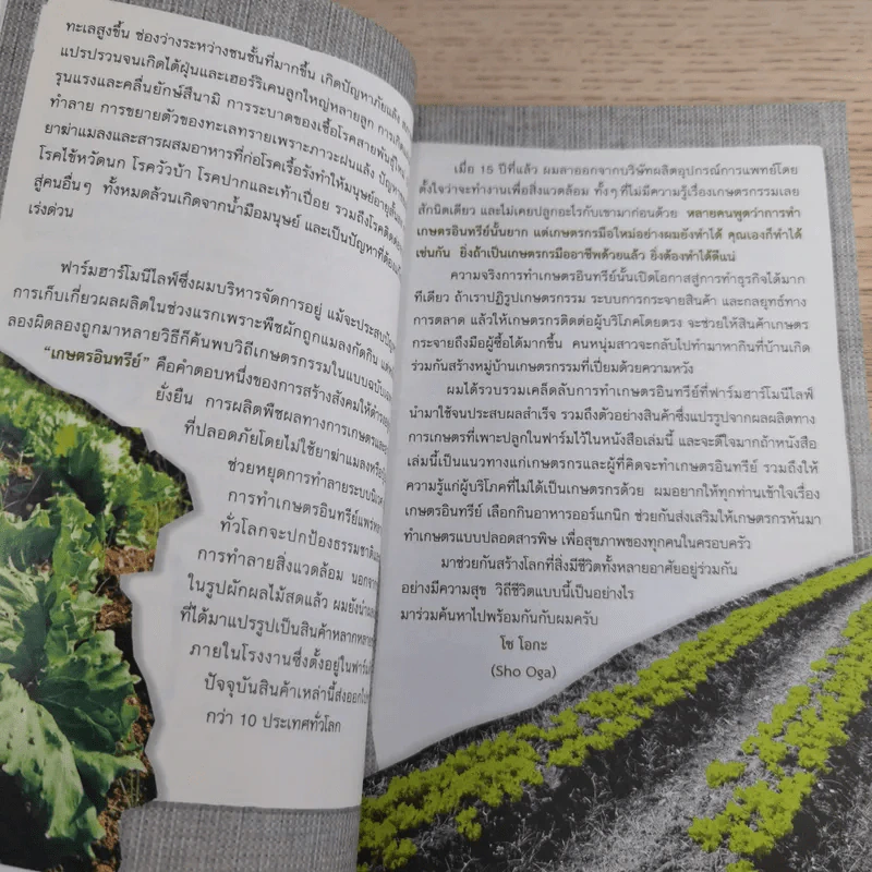 Organic Farm สิ่งมหัศจรรย์เกิดขึ้นที่ไร่ - Sho Oga รูปที่ 10