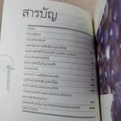 ธาตุกายสิทธิ์พิชิตโรค - ทิพยจักร รูปที่ 10