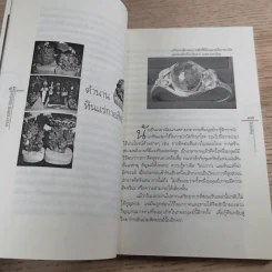 ธาตุกายสิทธิ์พิชิตโรค - ทิพยจักร รูปที่ 11