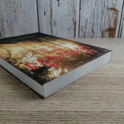 เรื่องจริงที่ยังสงสัย บอกได้ชาตินี้เท่านั้น เล่ม 7 - ชัชวาล เพ่งวรรธนะ รูปที่ 7