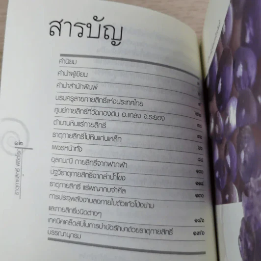 ธาตุกายสิทธิ์พิชิตโรค - ทิพยจักร รูปที่ 10