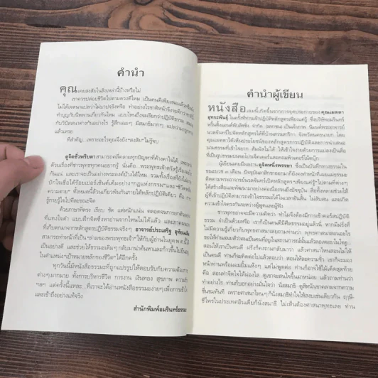 ดูจิตชั่วพริบตา - ปัญญาวโรภิกขุ (ประเสริฐ อุทัยเฉลิม) รูปที่ 9
