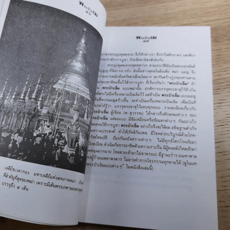พระบัวเข็ม พระอรหันต์พิชิตมารให้ลาภร่ำรวย - พ.สุวรรณ รูปที่ 13