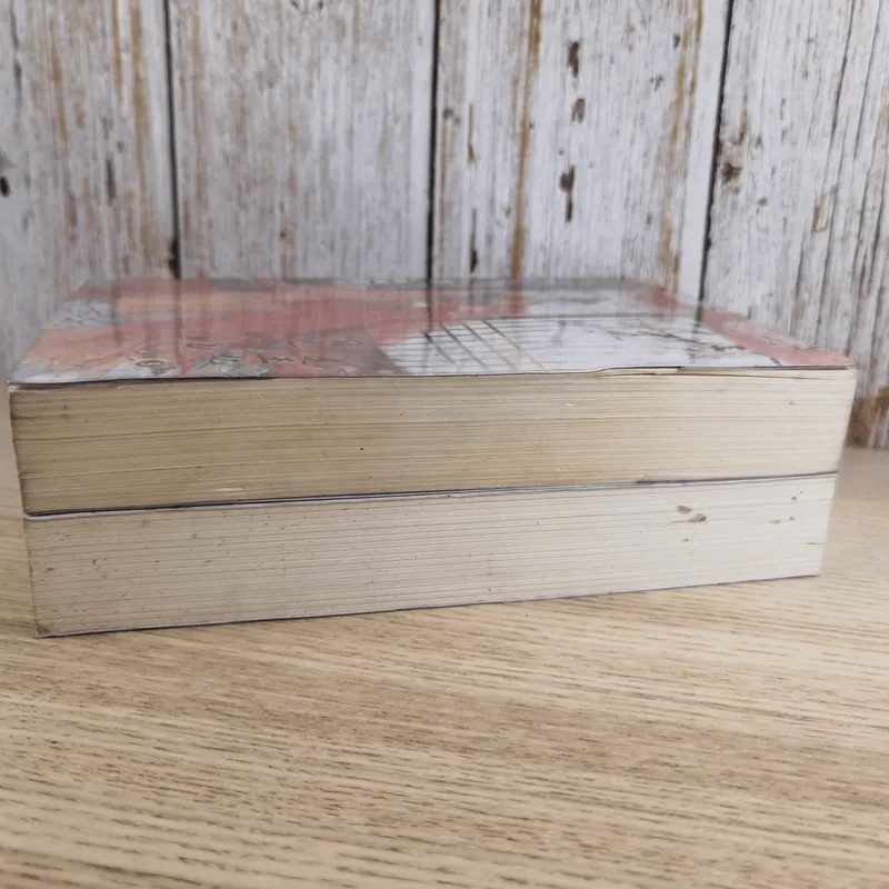 ฉู่หวังเฟย ชายาสองวิญญาณ เล่ม 2-3 รูปที่ 5
