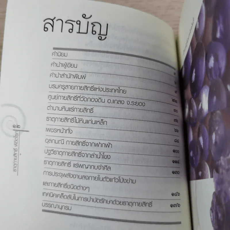 ธาตุกายสิทธิ์พิชิตโรค - ทิพยจักร รูปที่ 10