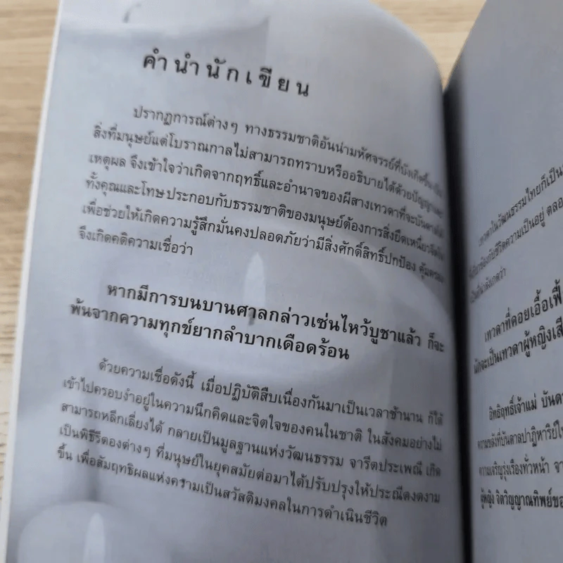 อิทธิฤทธิ์เจ้าแม่บันดาลโชค - สุวิชาน รูปที่ 10