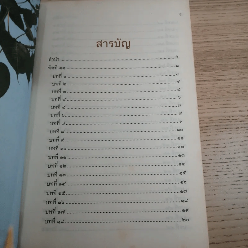 ทิศที่ 11 - หลวงพ่อชุมพล พลปญฺโญ รูปที่ 10