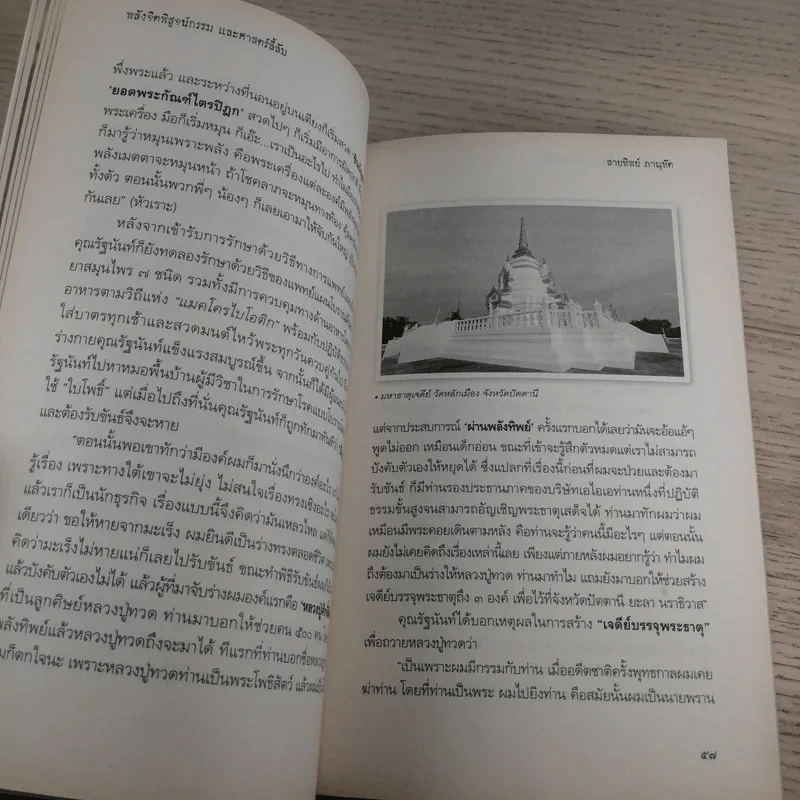 พลังจิตพิสูจน์กรรม และศาสตร์ลี้ลับ - สายทิพย์ ภาณุทัต รูปที่ 12