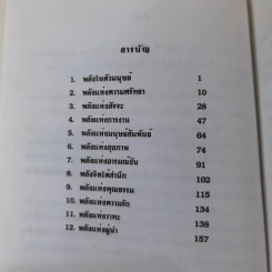 พลังเพื่อมนุษยชาติ - พระธรรมปิฎก รูปที่ 8