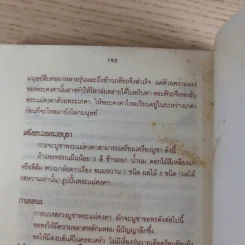 บูชา 19 มหาเทพ ประทาน 19 มหาพร รูปที่ 15