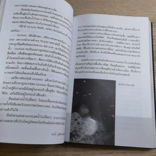 ดำน้ำสู่อัศจรรย์แห่งทะเลน้ำลึก - อภินันท์ บัวหภักดี รูปที่ 17