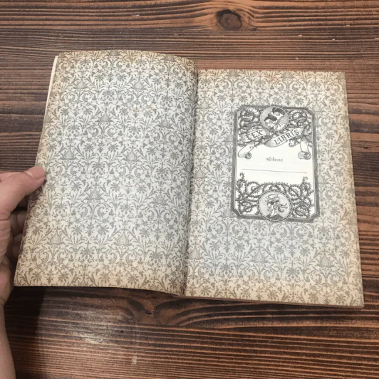 ชุด อยากให้เรื่องนี้ไม่มีโชคร้าย เล่ม 3 บ้านประหลาด รูปที่ 7