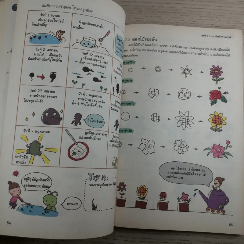 วาดภาพน่ารักตกแต่งสิ่งของรอบตัว - เฟยเล่อเหนี่ยว รูปที่ 13