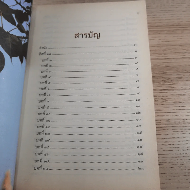 ทิศที่ 11 - หลวงพ่อชุมพล พลปญฺโญ รูปที่ 10