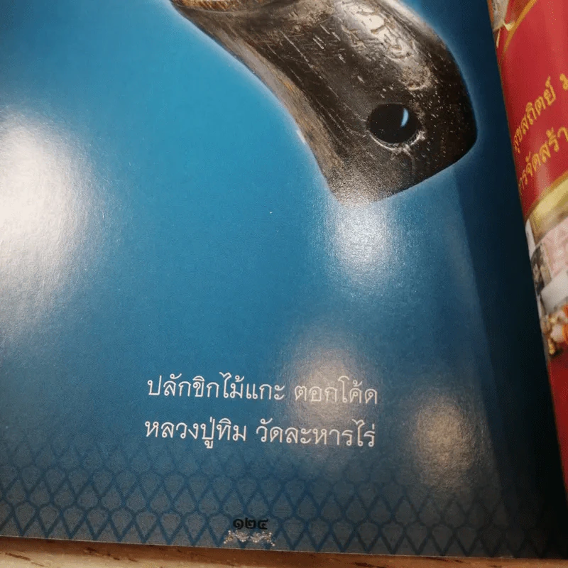 อมตะพระเครื่องหลวงปู่ทิม วัดละหารไร่ จังหวัดระยอง รูปที่ 16