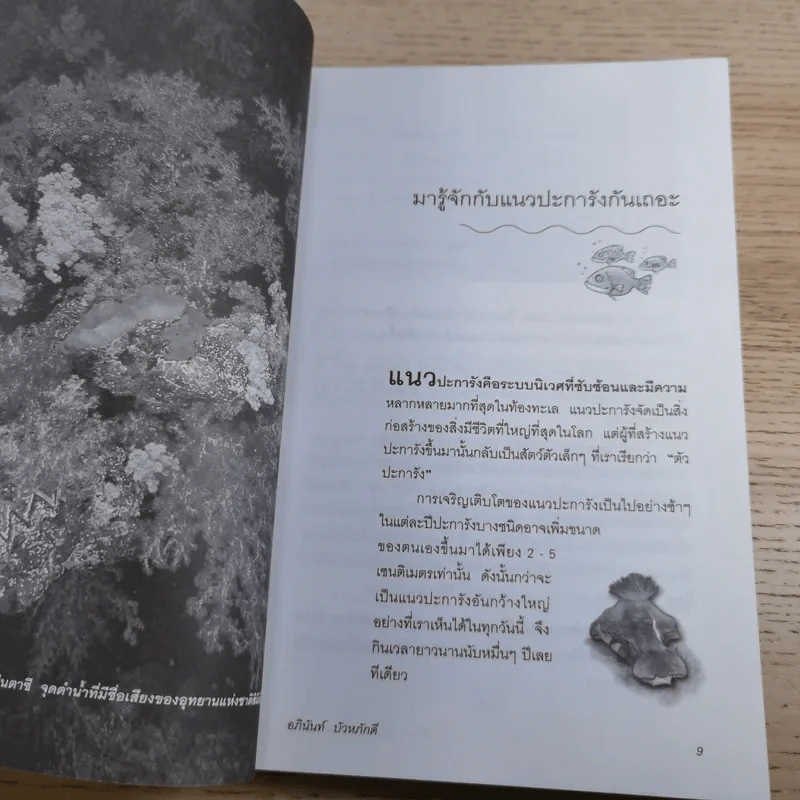 ดำน้ำสู่อัศจรรย์แห่งทะเลน้ำลึก - อภินันท์ บัวหภักดี รูปที่ 16