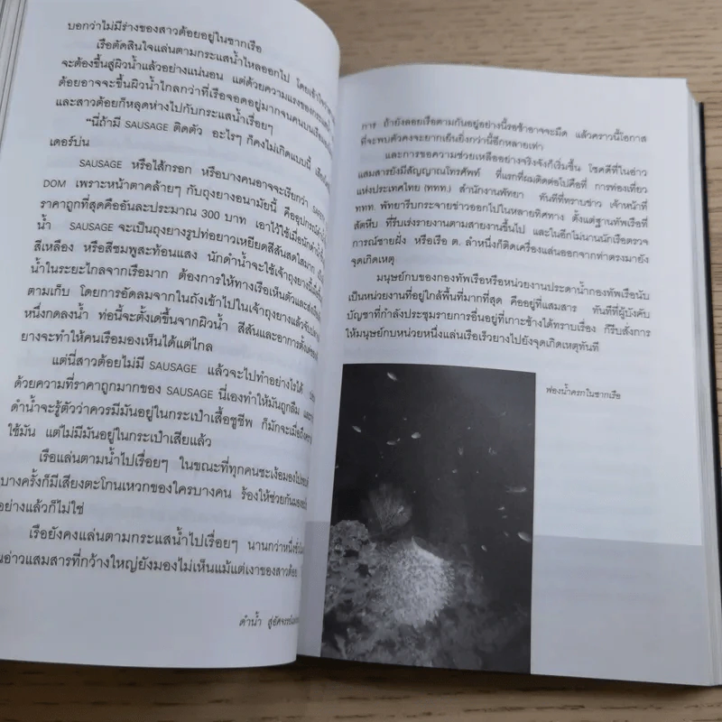 ดำน้ำสู่อัศจรรย์แห่งทะเลน้ำลึก - อภินันท์ บัวหภักดี รูปที่ 17