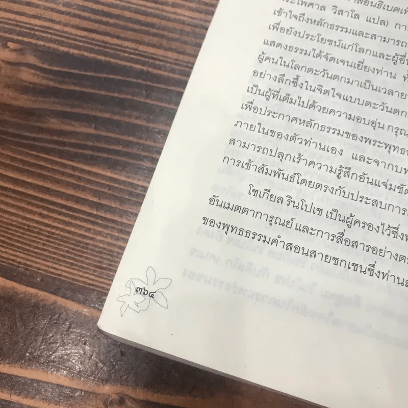 ประตูสู่สภาวะใหม่ จาก The Tibetan Book of Living And Dying - โซเกียล รินโปเช (พระไพศาล วิสาโล แปล) รูปที่ 15